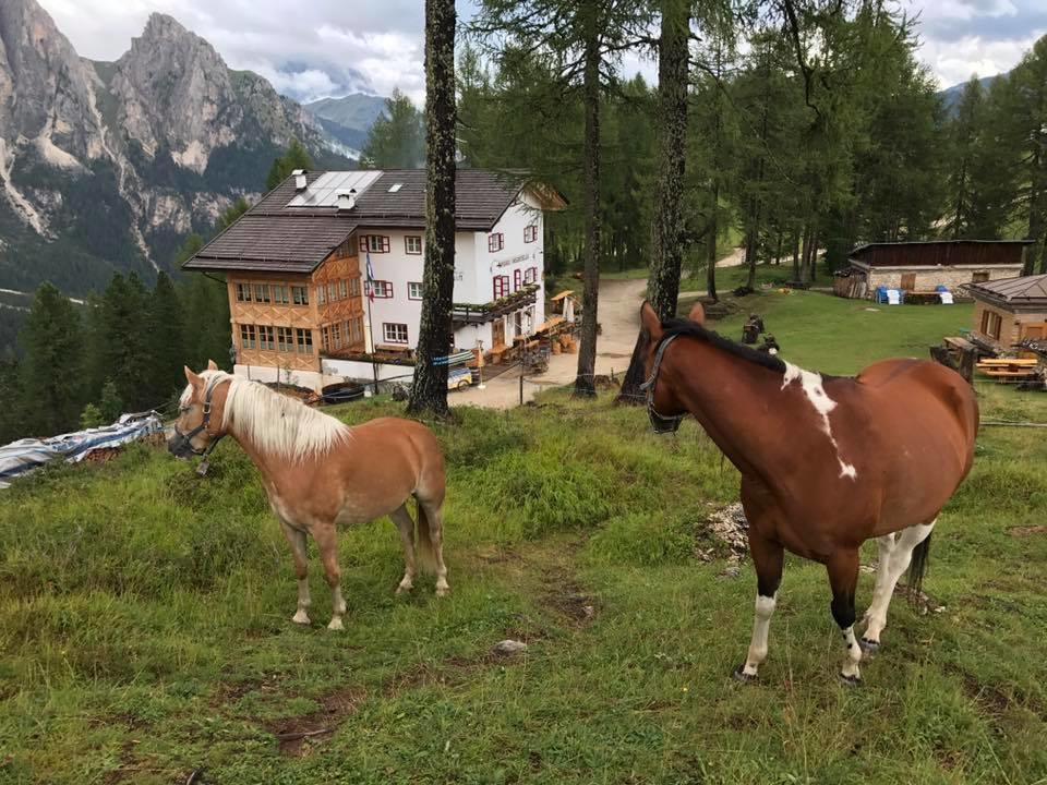 Rifugio Negritella Hotel Pozza di Fassa Exterior foto